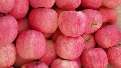 تصویر 3 از سیب قرمز تو سرخ با کیفیت پایدار و تازگی محسوس